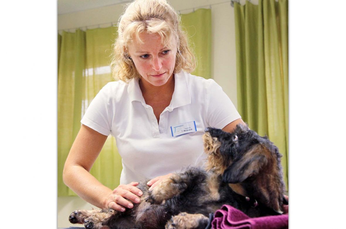 Tierklinik-04-Physiotherapie_8690.jpg